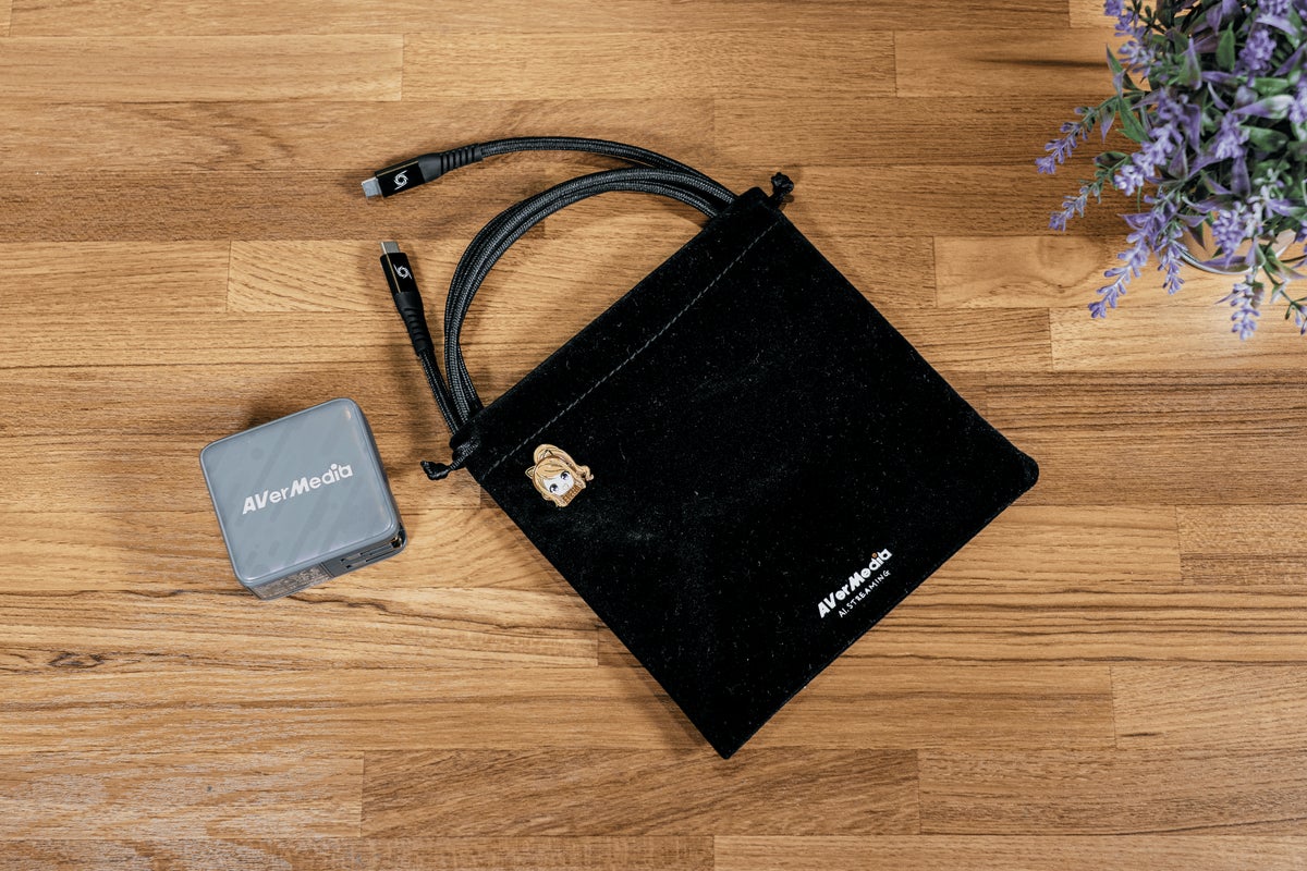 画像: アバーメディア・テクノロジーズ株式会社（PR TIMES）より（ELITE GO GC313Pro）